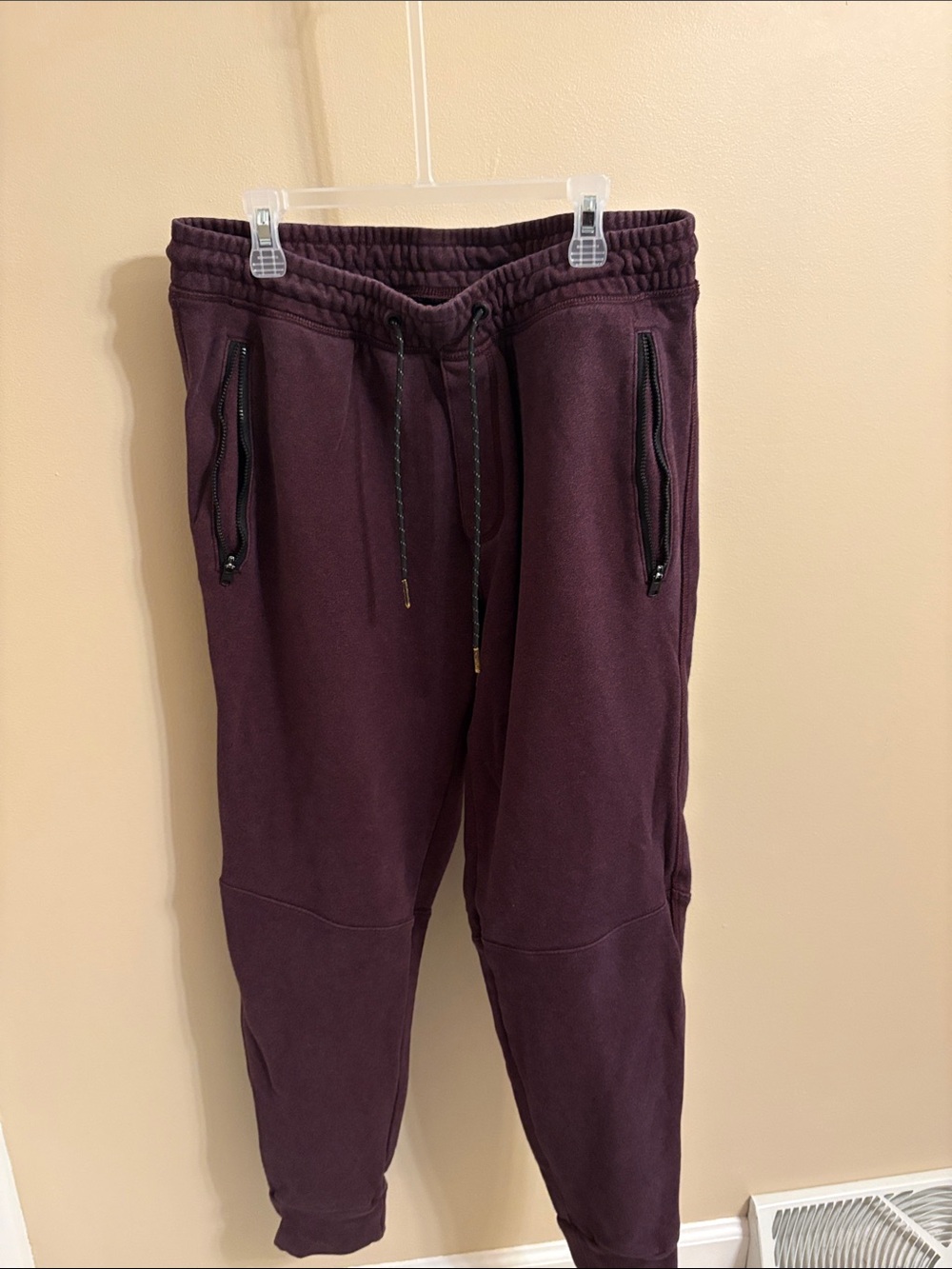 American Eagle Outfitters Men's Joggers in Plum